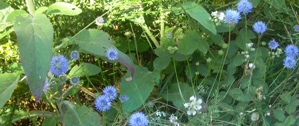 valaki valahol